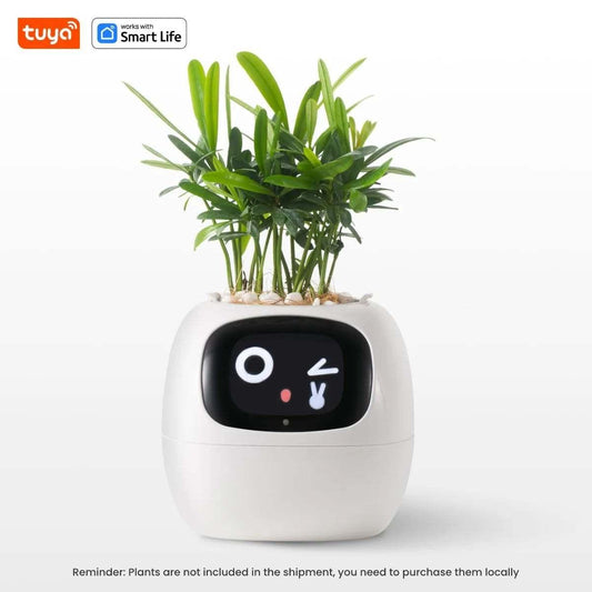 IVY Smart The Smart Plant Pot - Ihome Gadgets